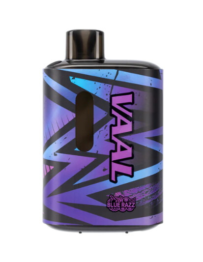 Vaal E5000 Disposable 50MG, Flavor: Blue Razz