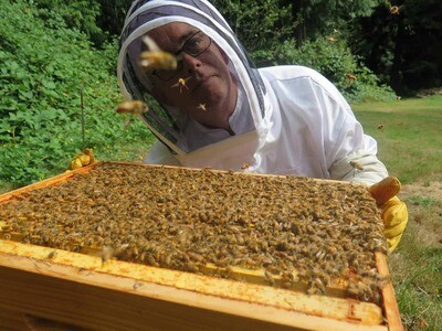 Introduction to Beekeeping