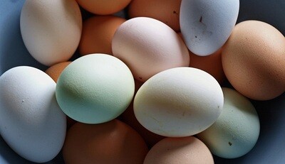 Eggcessories