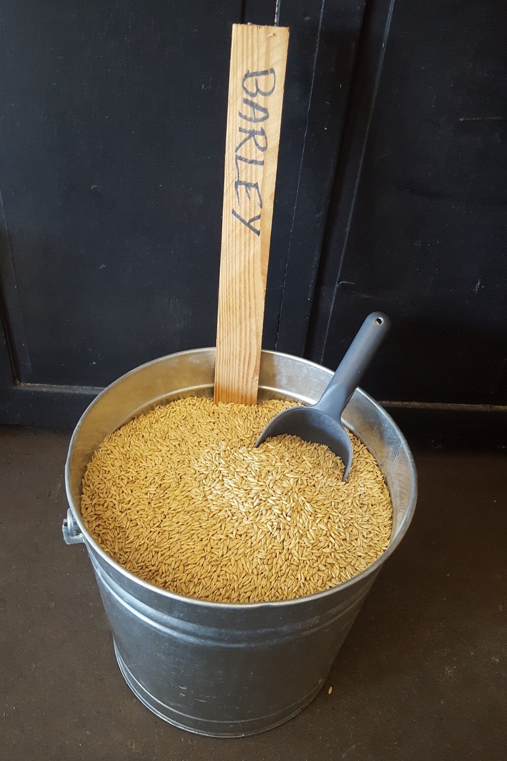 Barley, 1 lb.