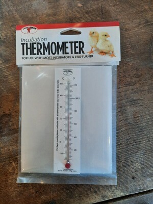 Brooder Thermometer