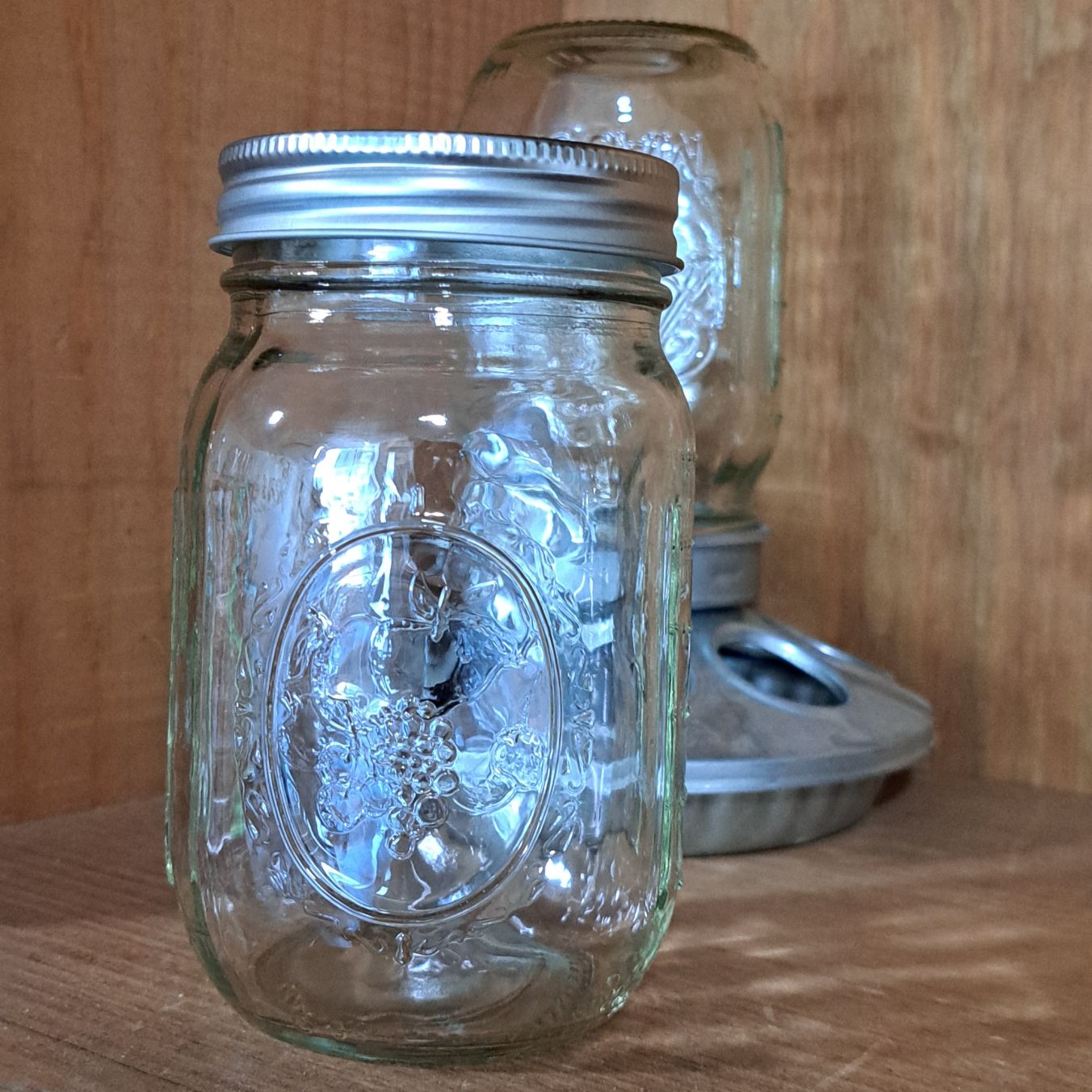 1 Pint Mason Jar for Chick Feeder/Waterer