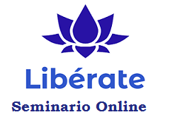 Pago Seminario Online​ - argentino