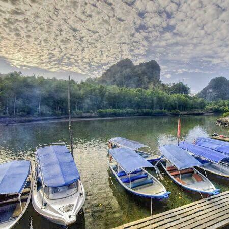 Mangrove Tour