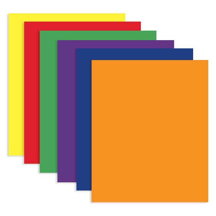 Portfolios 2-Pockets Assorted Color