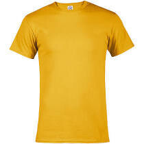 Northfield Noles  T-Shirt, Color: Gold