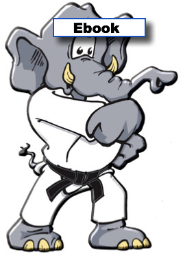 eBook - The Okinawan Elephant in the Room (OUT OF STOCK)