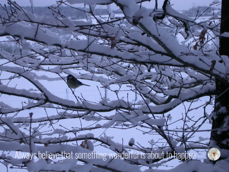 Digital Christmas Cards Winter.Magic & Quote