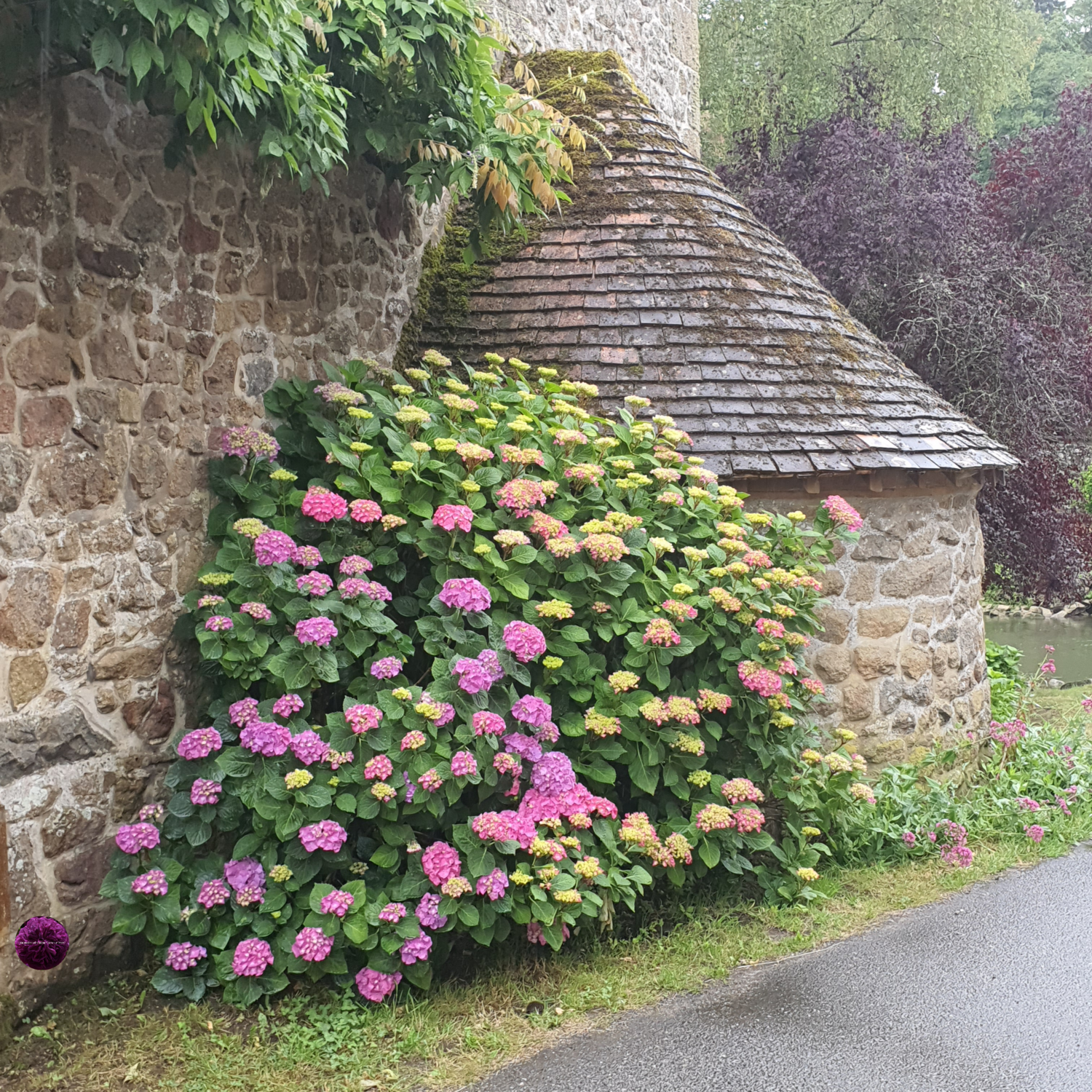 Photography Villages  Saint Céneri-le Gérei