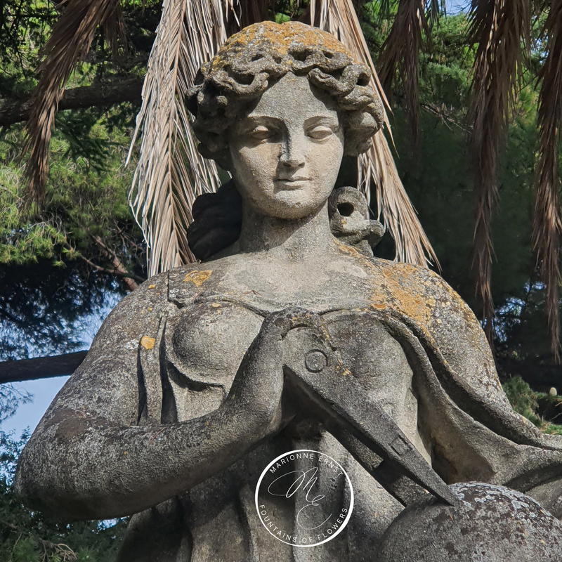 PHOTOGRAPHY Ornaments