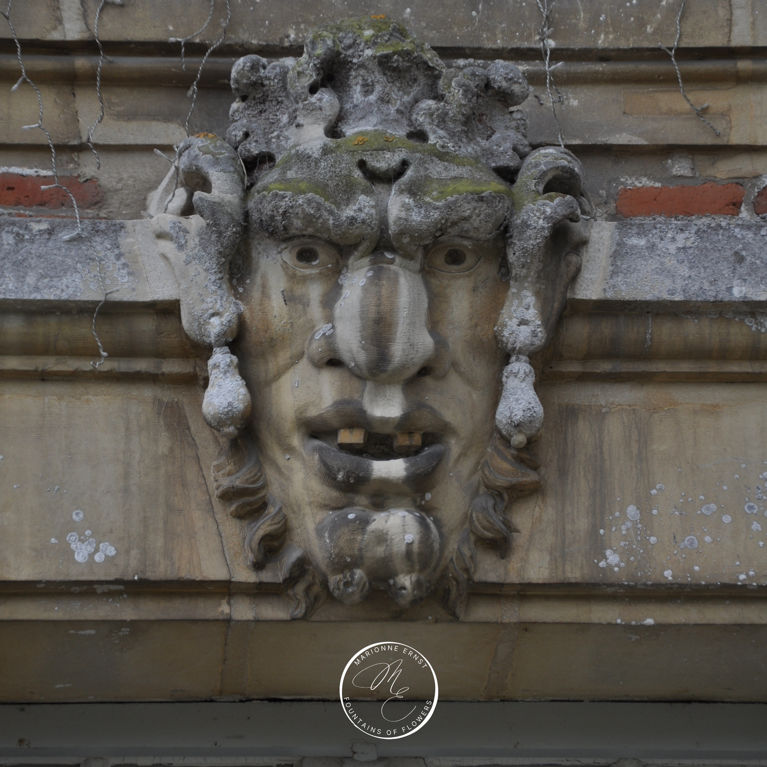 Photography Ornaments