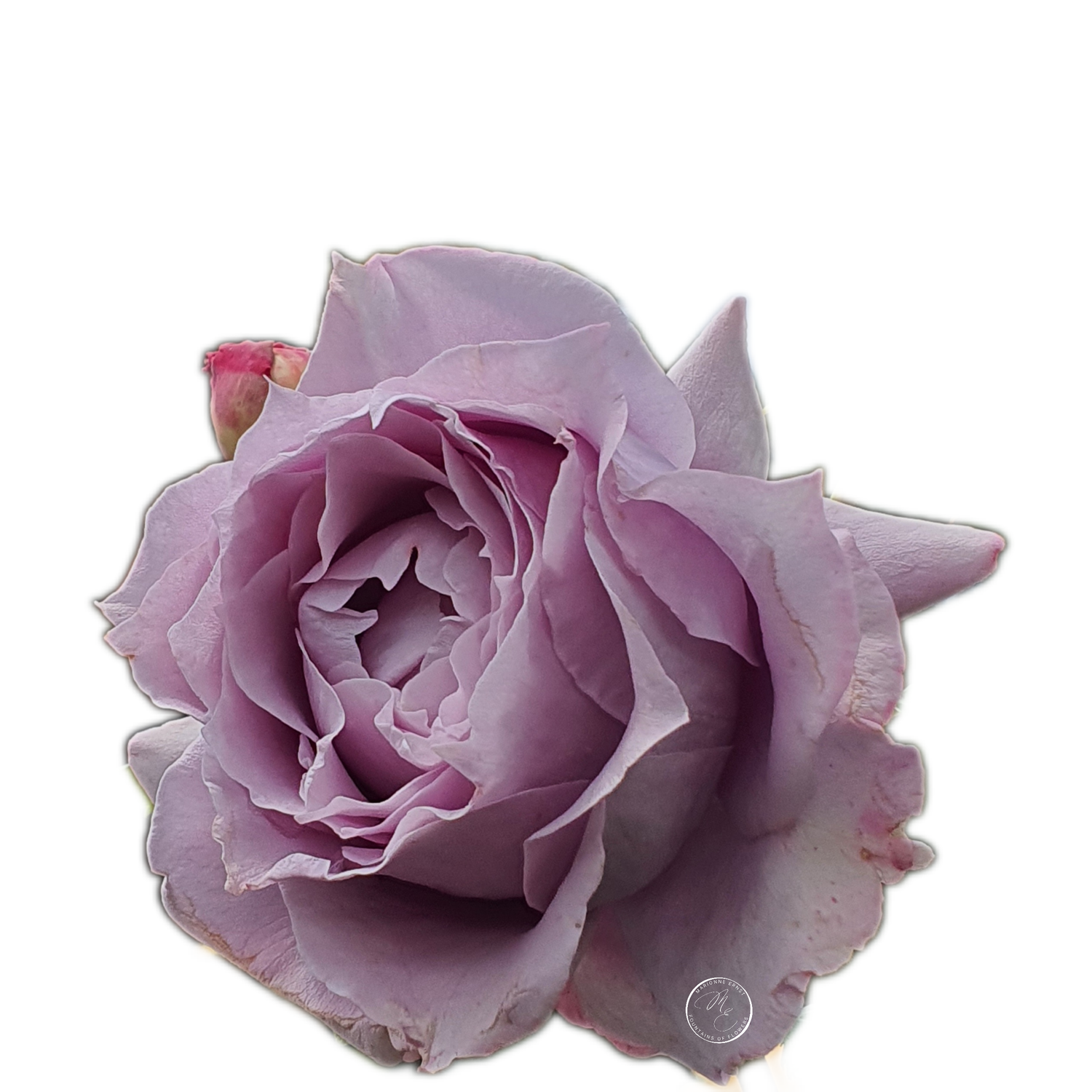 NFT.ME.ROSES