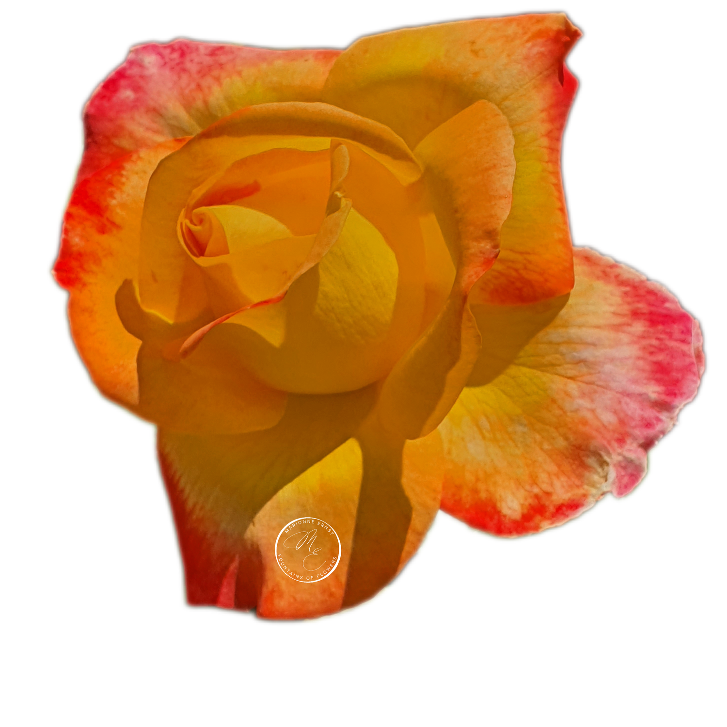 NFT.ME.ROSES