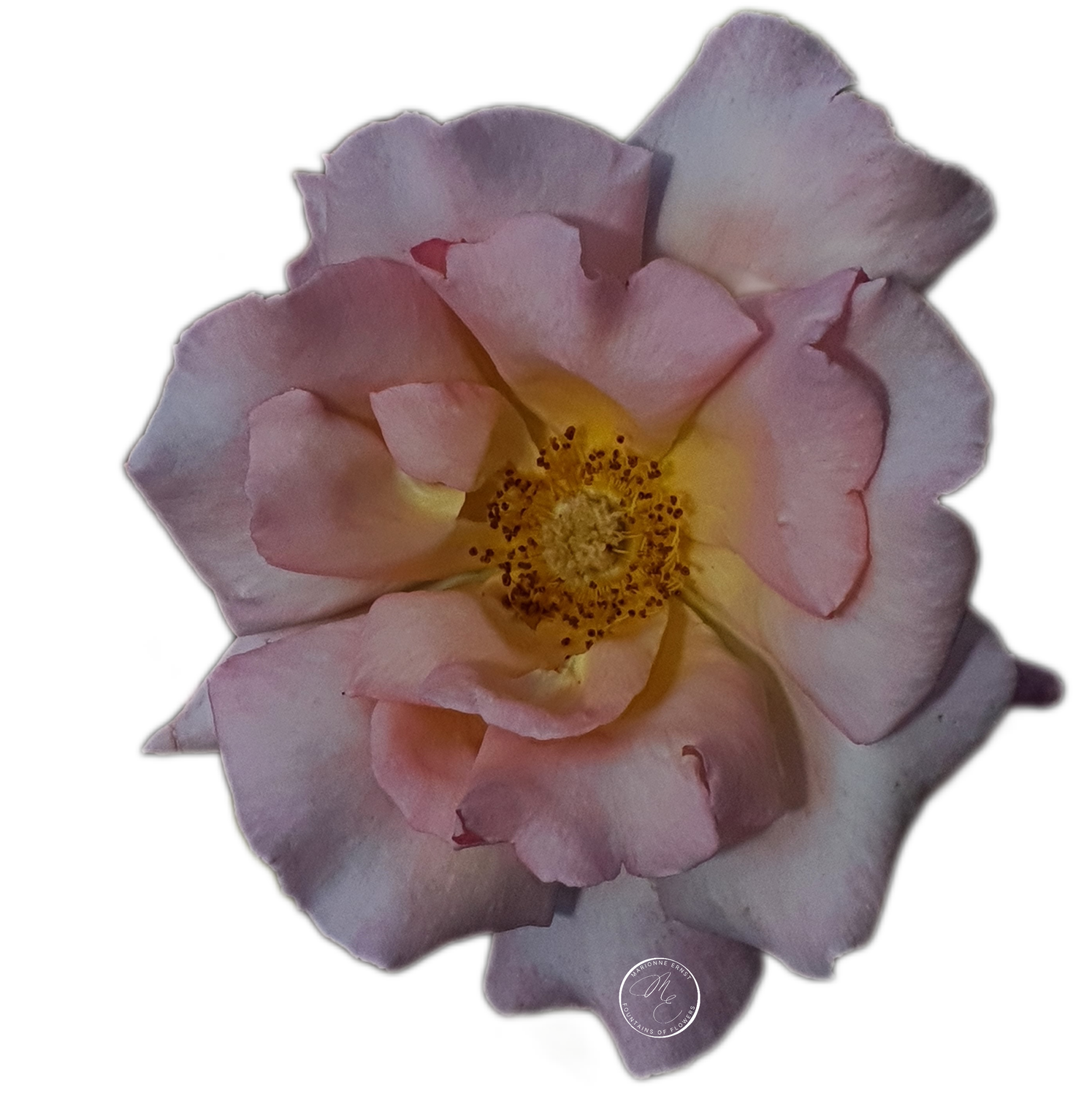 NFT.ME.ROSES