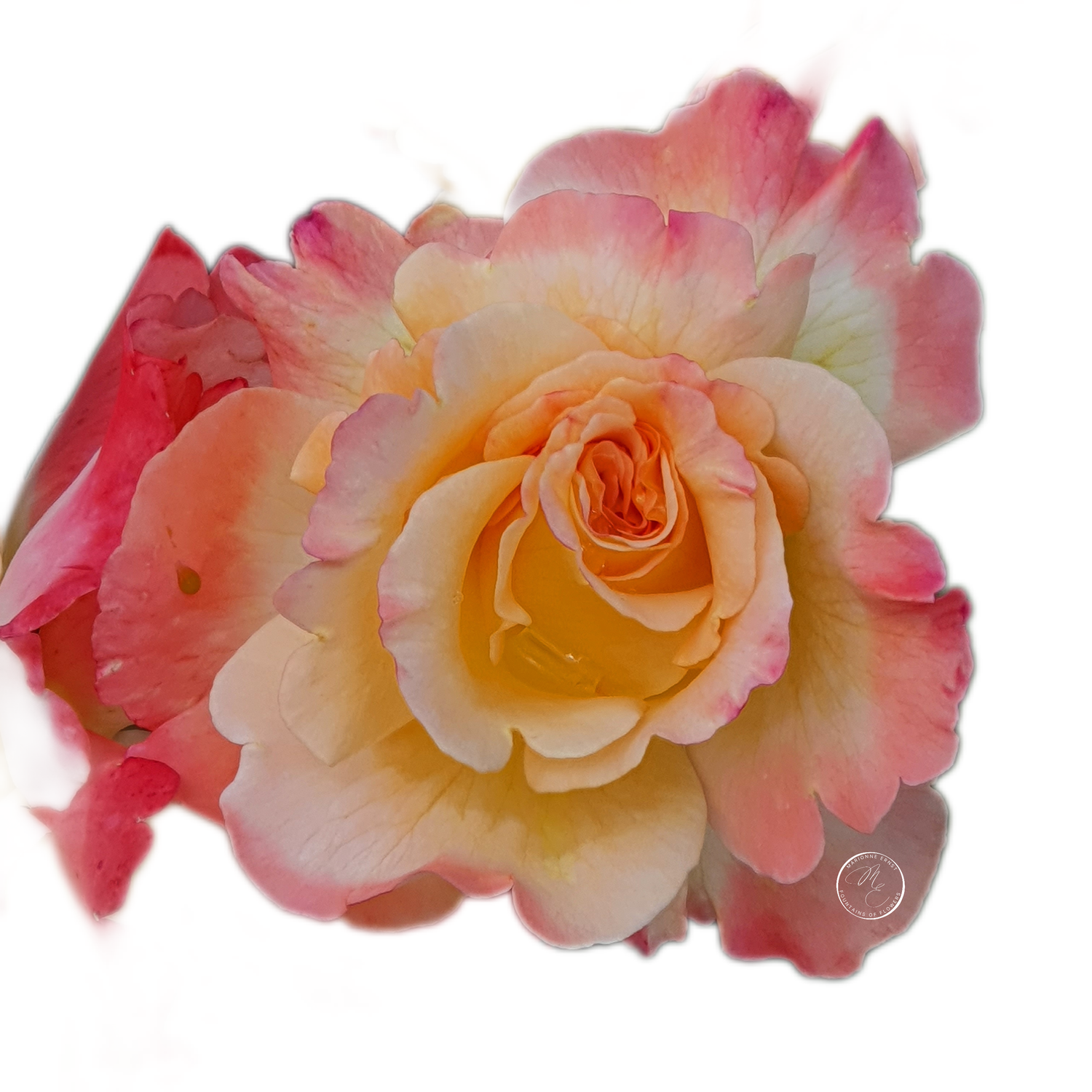 NFT.ME.ROSES