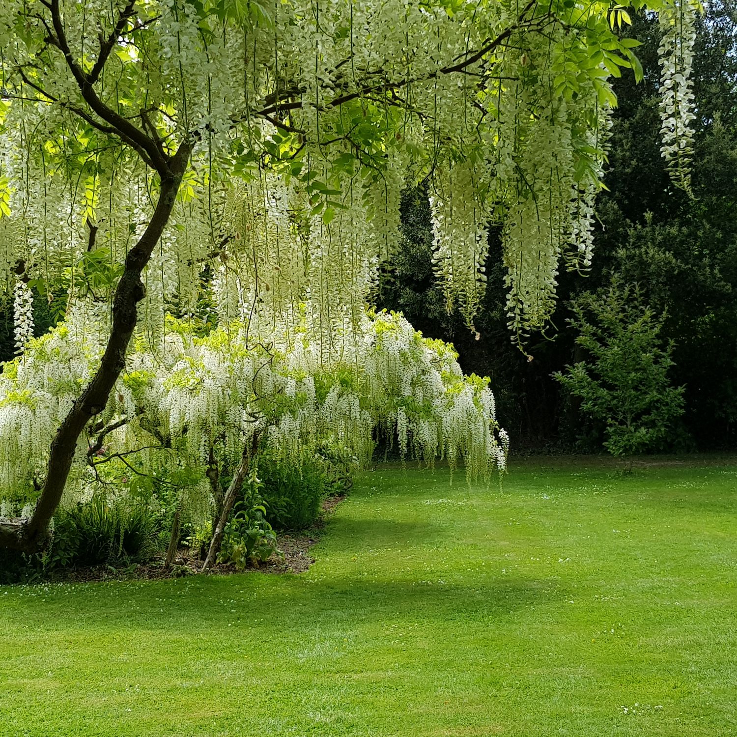 Bois des Moutiers