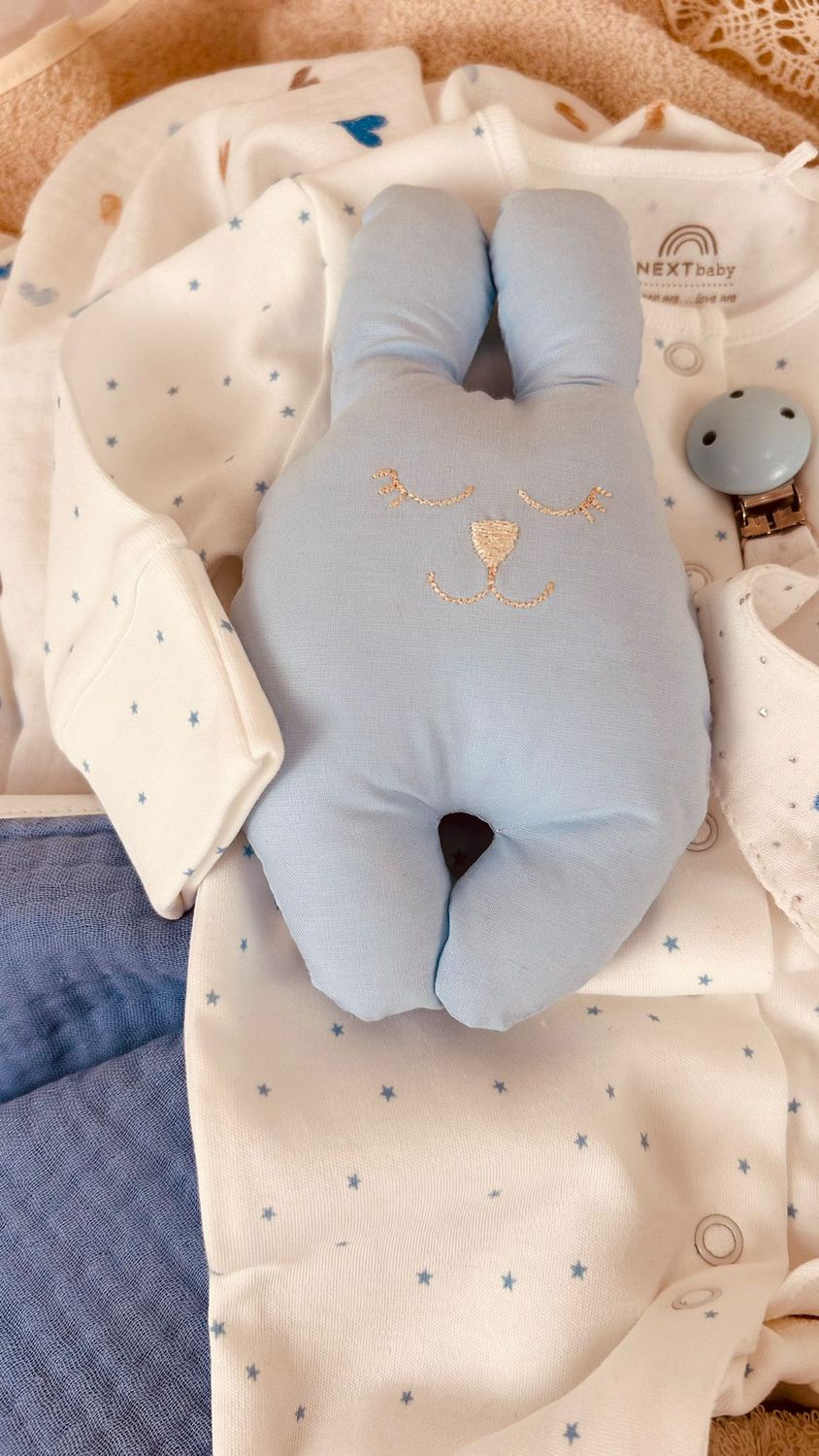 Cadou Bun Venit  Iepurasul Somnoros bleu