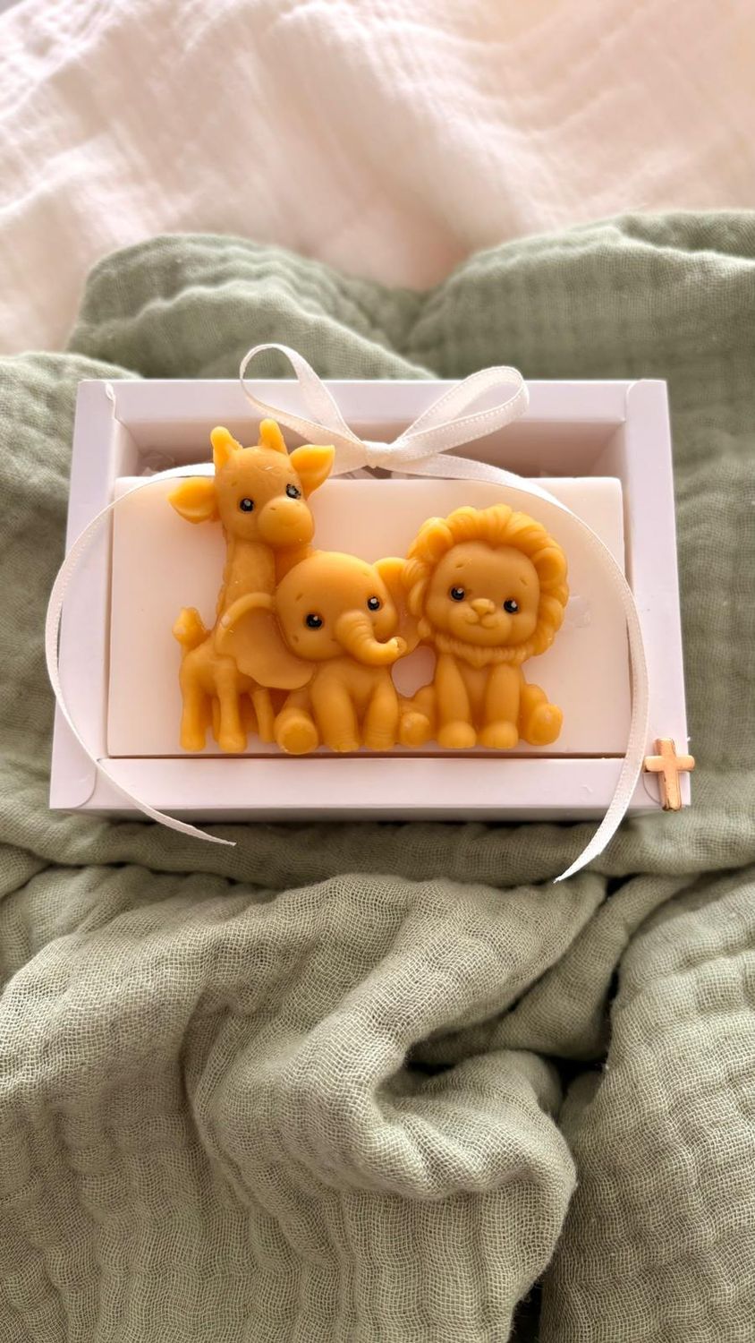 Marturie Botez Safari