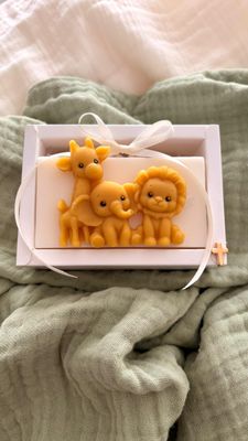 Marturie Botez Safari