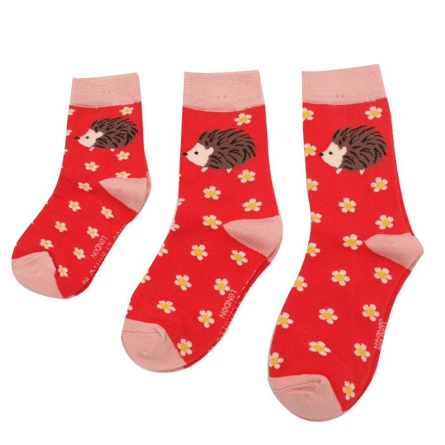 MISS SPARROW Childrens Hedgehog & Daisies Socks Bamboo Mix Age 2 to 3years
