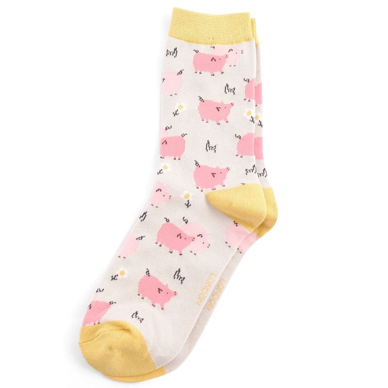 Miss Sparrow Pretty Pig Socks  Silver Bamboo Blend