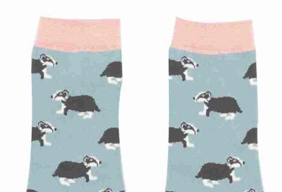 Miss Sparrow Badger Socks Duck Egg Super Soft Bamboo Blend Eco Friendly