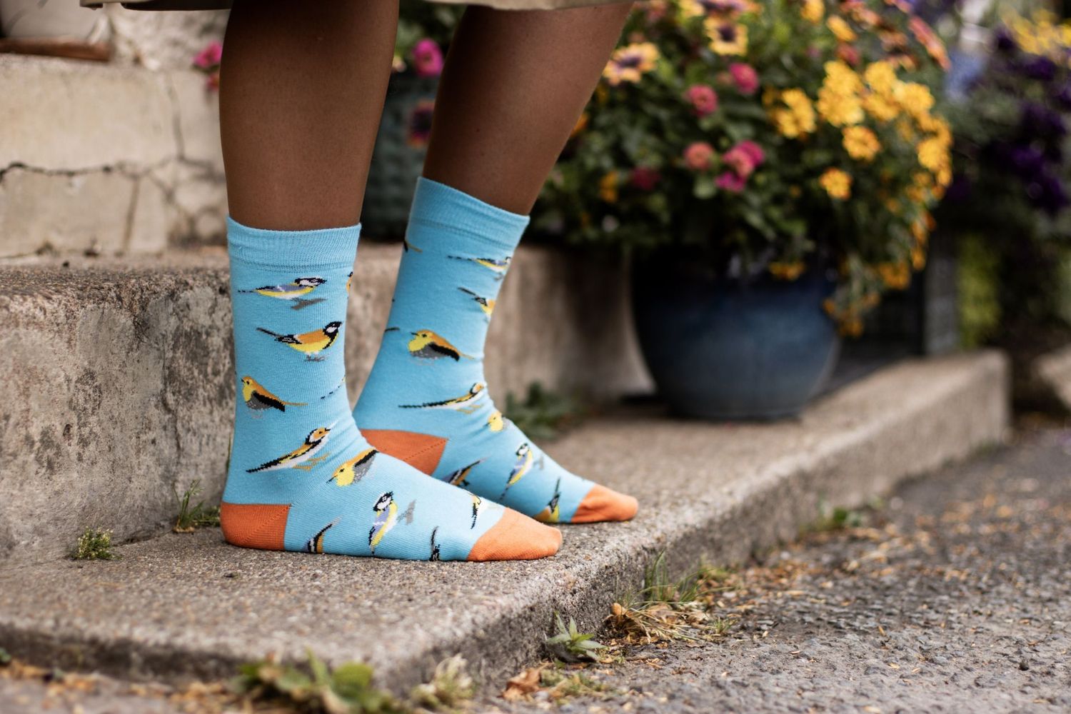 Bartleby Socks Bamboo British Garden  Blue Birds 4 to 7