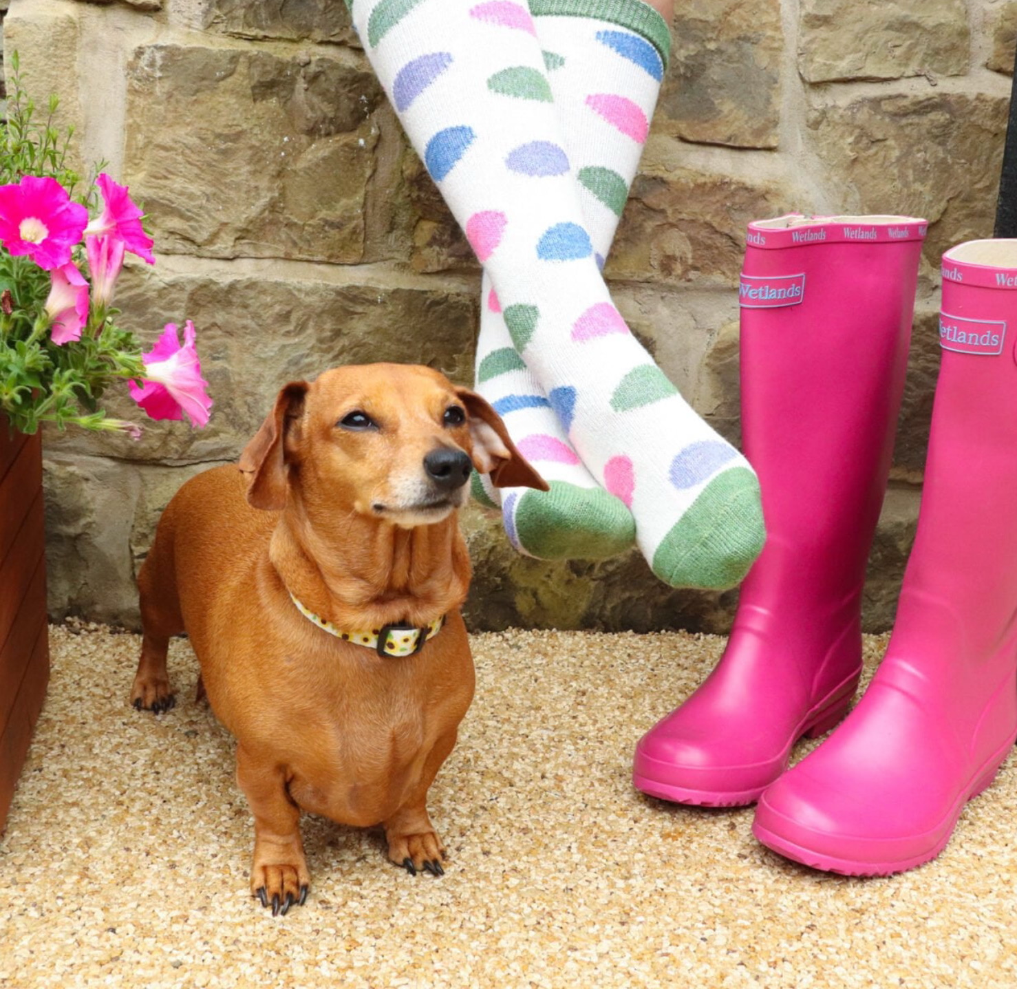 Zelly Boot Welly Socks Cream Circle Green Toes