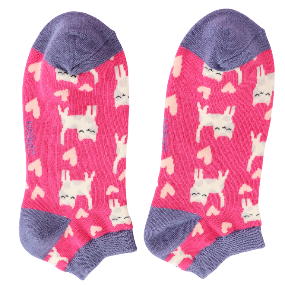 Miss Sparrow Sleepy Cats Trainer Socks Hot Pink
