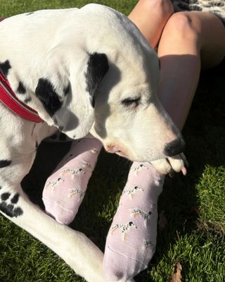 2 Pairs Pamela Mann Dalmatian Dog  Pink Trainer Socks Super Soft Bamboo Blend