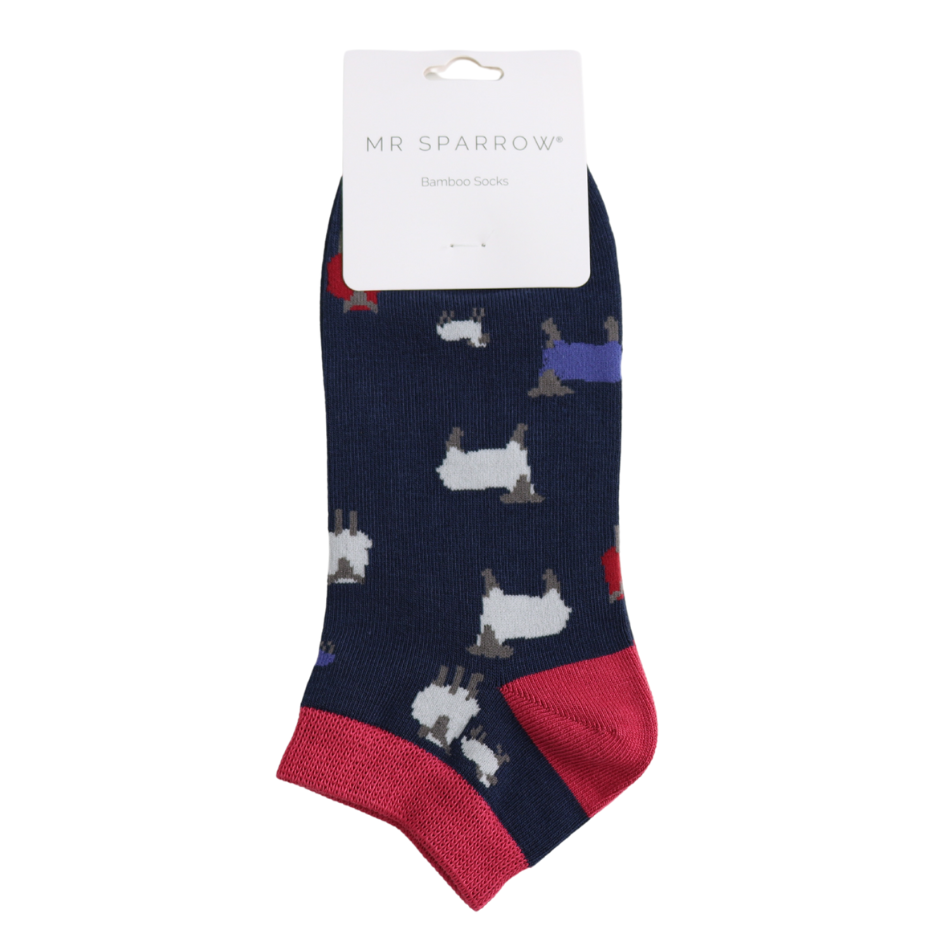 Mr Sparrow Trainer Socks Sheep Family Blue