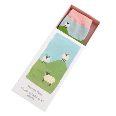 Miss Sparrow Highland Woodland Owl Matchbox Socks The Perfect Gift