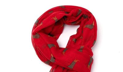 Sausage Dog Red  Scarf Lightweight Gift