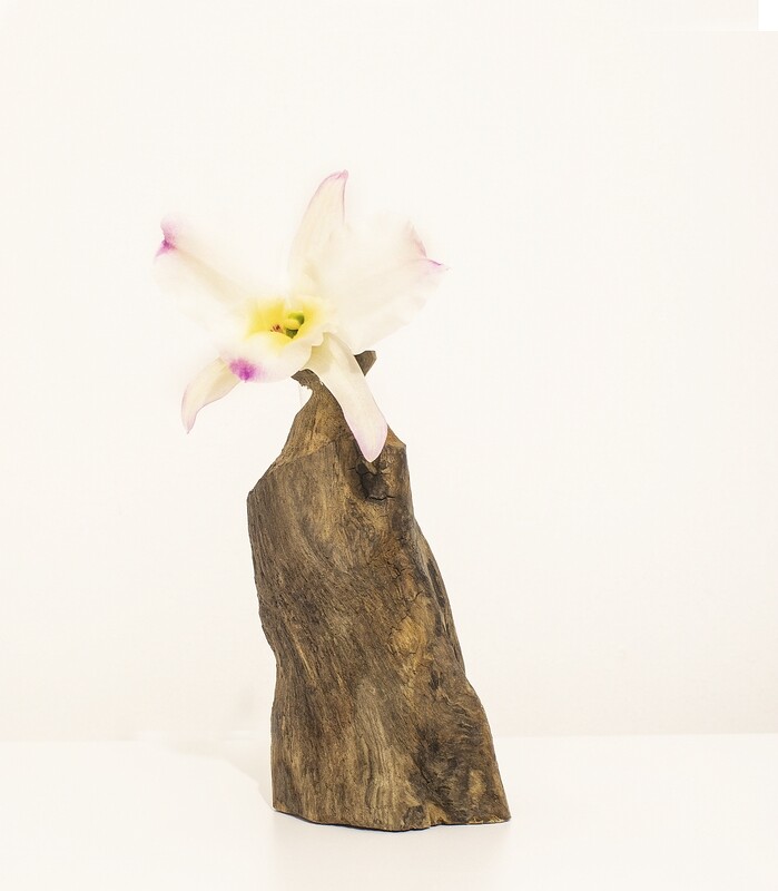 Driftwood twig vase