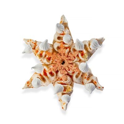 Étoile de Noël – Zephyr Givrée