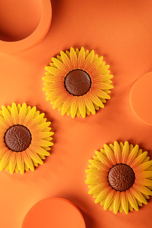Tournesol