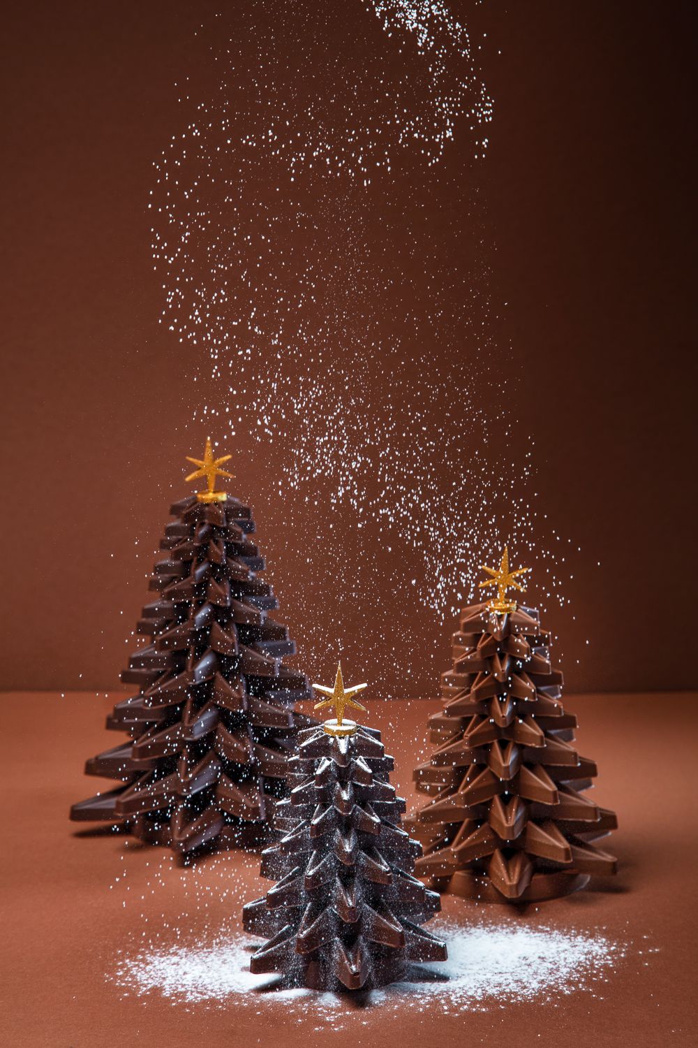 Sapin Etoilé Sapin Etoilé