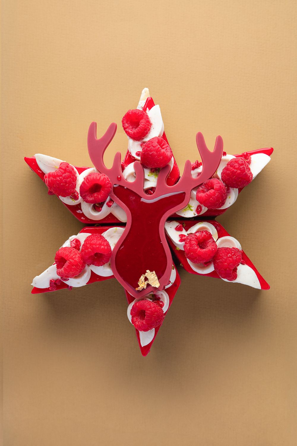 Étoile de Noël – Passion Givrée Étoile de Noël – Passion Givrée