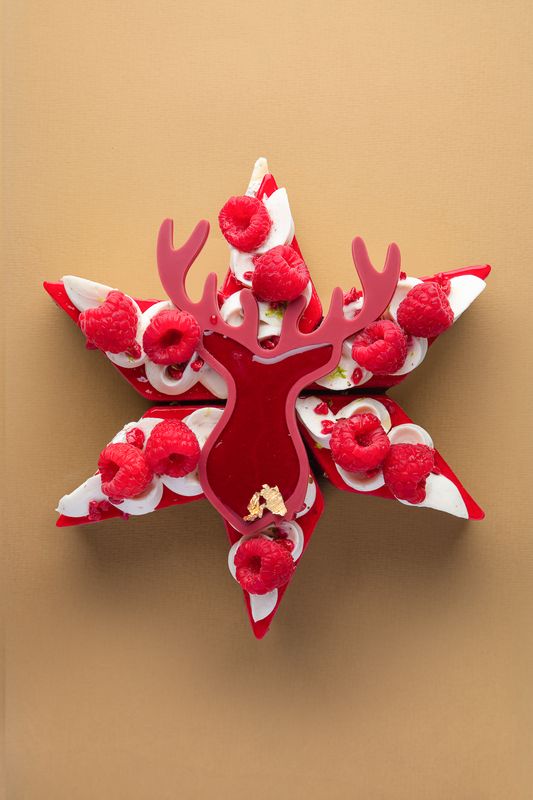 Étoile de Noël – Passion Givrée Étoile de Noël – Passion Givrée