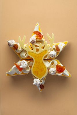 Étoile de Noël - Marron Zest givrée Étoile de Noël - Marron Zest givrée