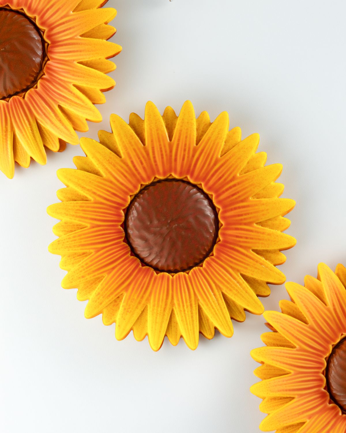 Tournesol