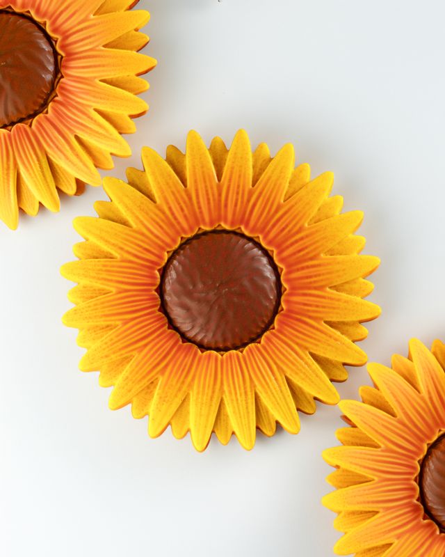 Tournesol