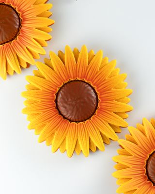 Tournesol Tournesol