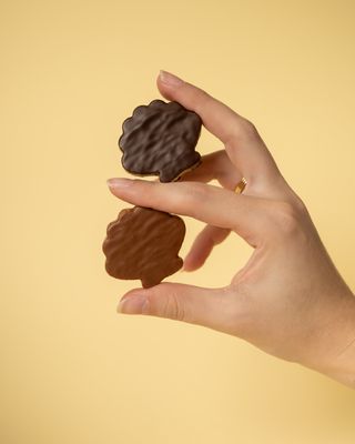 REGLETTE SAINT JACQUES