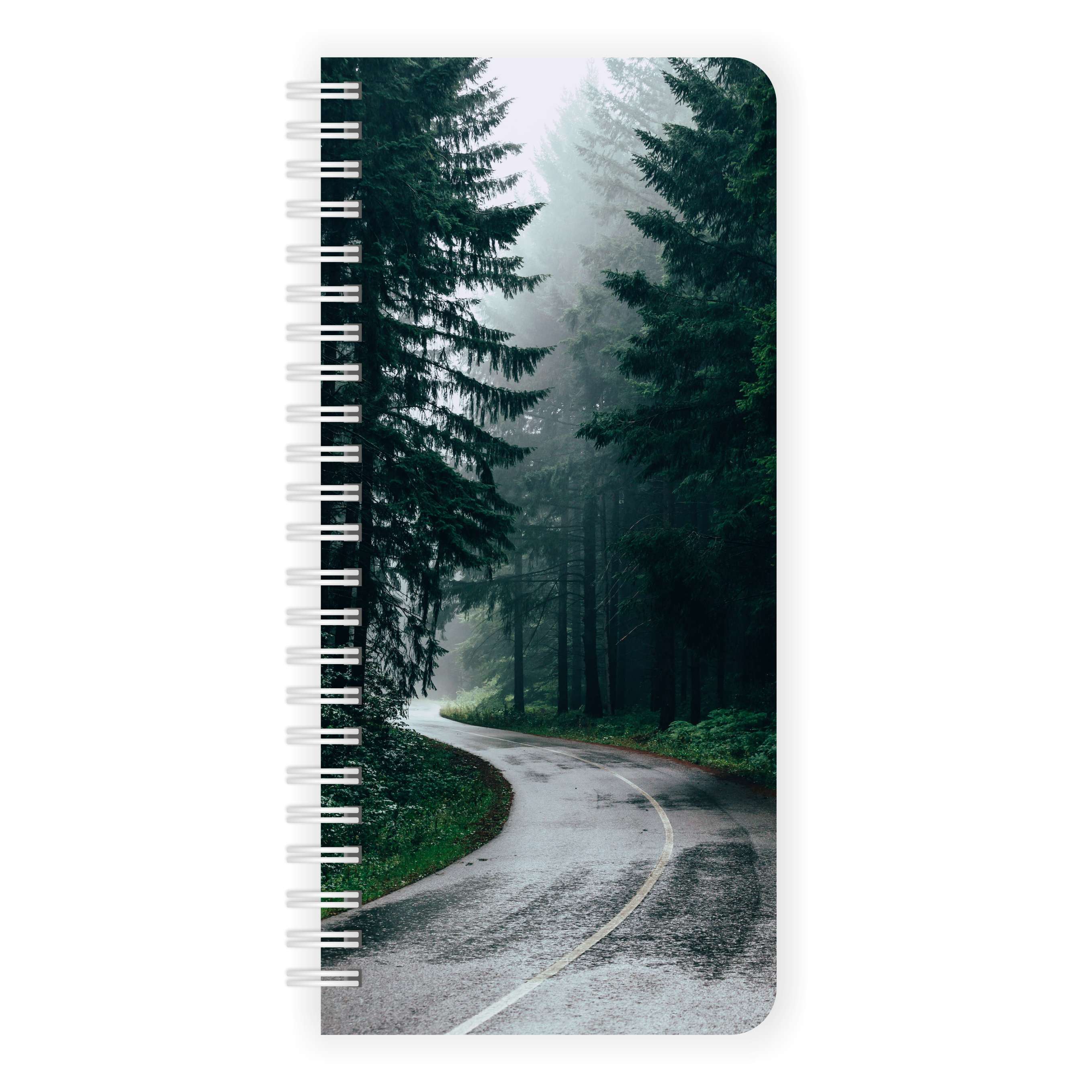 

Mini-обложка "Туманный лес"