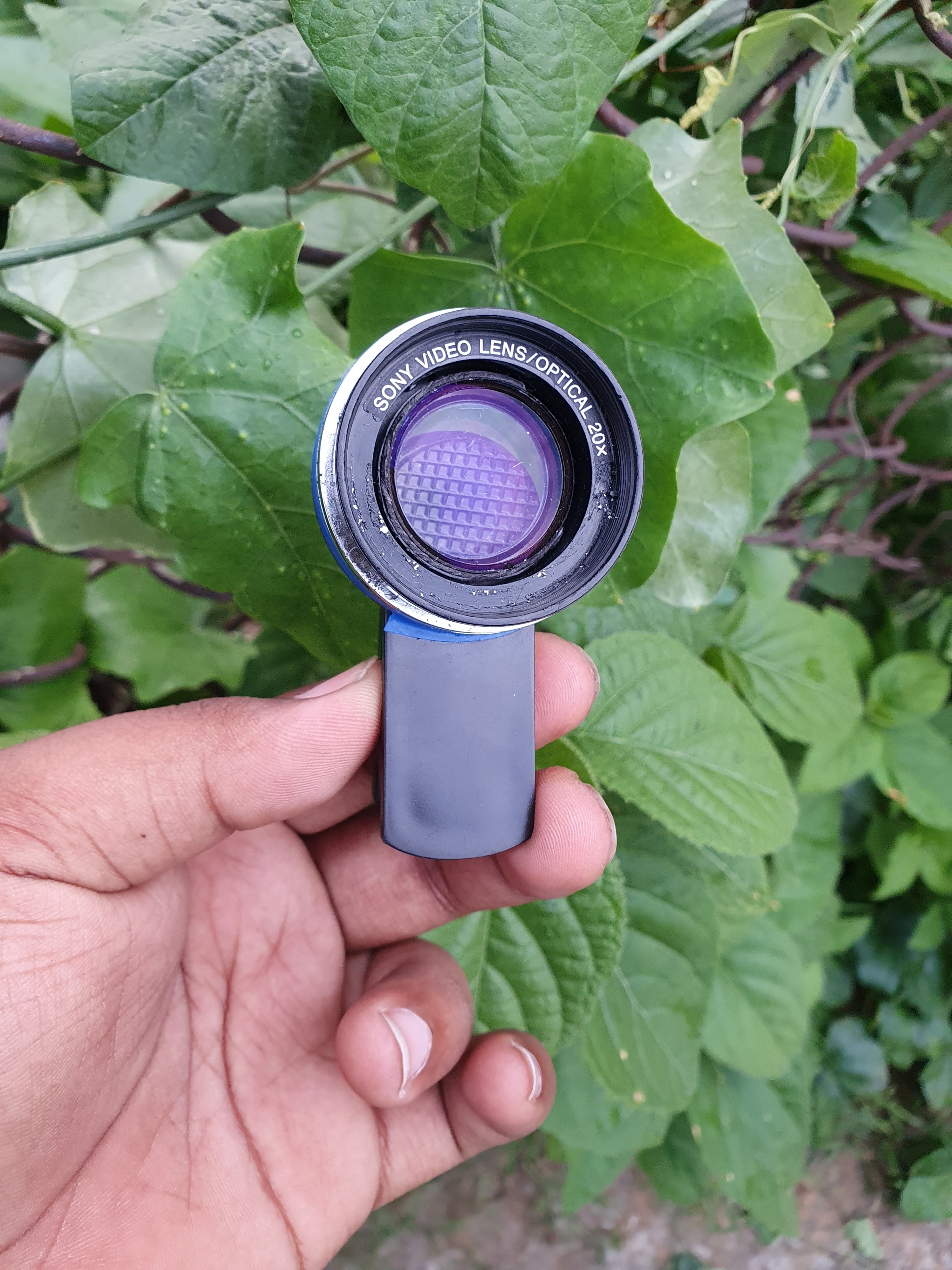 extreme lens l810
