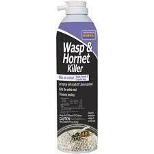 Bonide Wasp & Hornet Spray