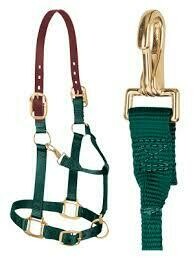 Nylon Breakaway Halter - Large - Hunter Green