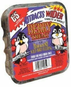 C&S Suet - Berry Treat