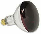 Heat Lamp - 250W - Red
